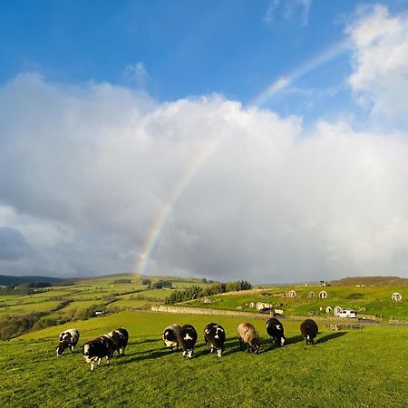 Shepherds View Rhayader Εξωτερικό φωτογραφία