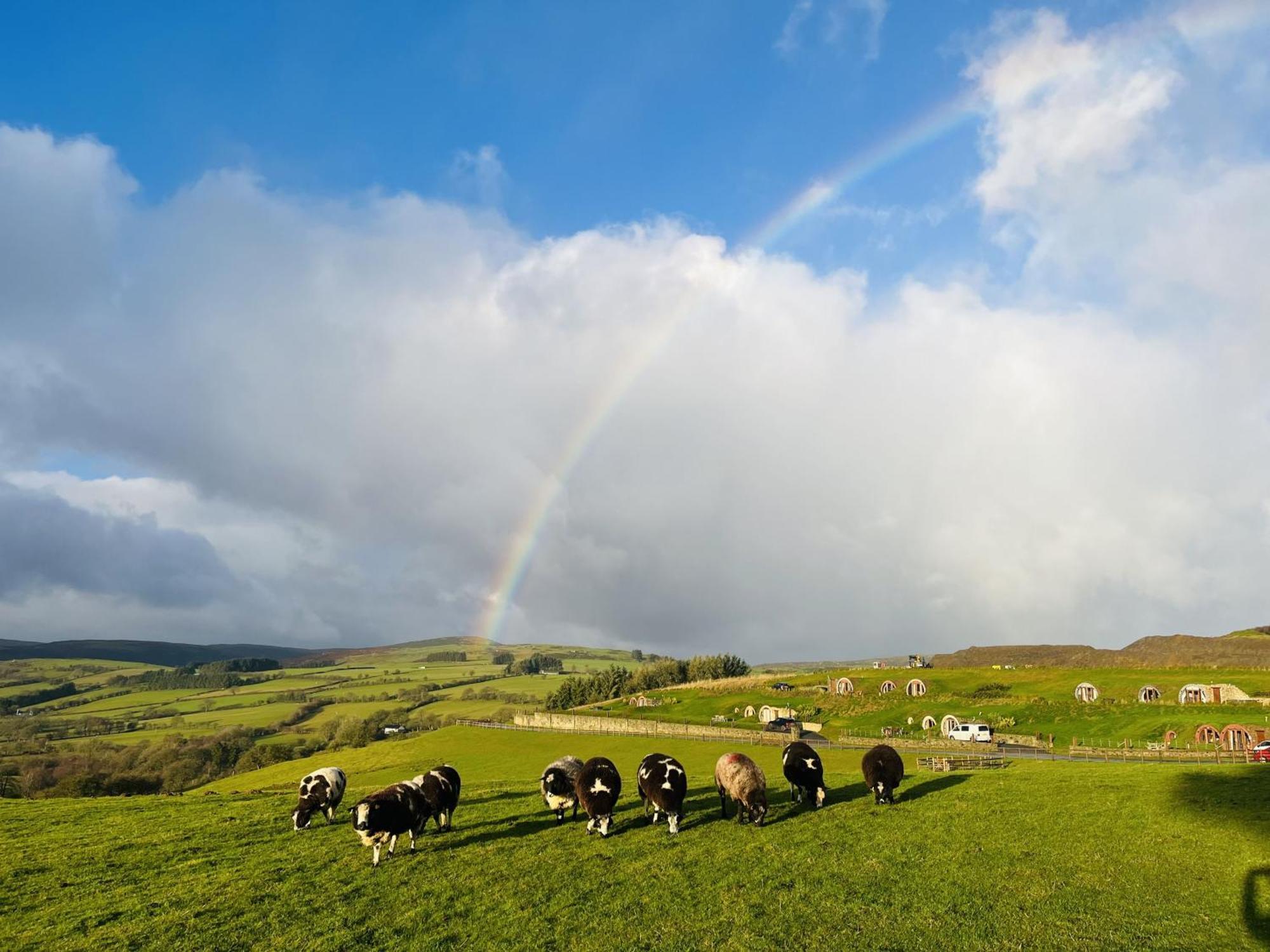 Shepherds View Rhayader Εξωτερικό φωτογραφία